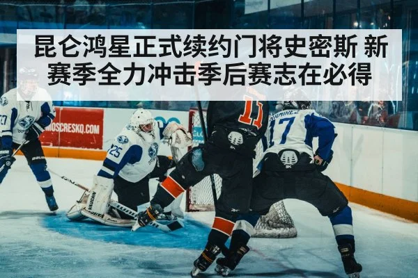 ice hockey defense