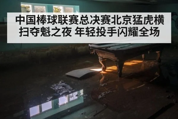 中国棒球联赛总决赛北京猛虎横扫夺魁之夜 年轻投手闪耀全场